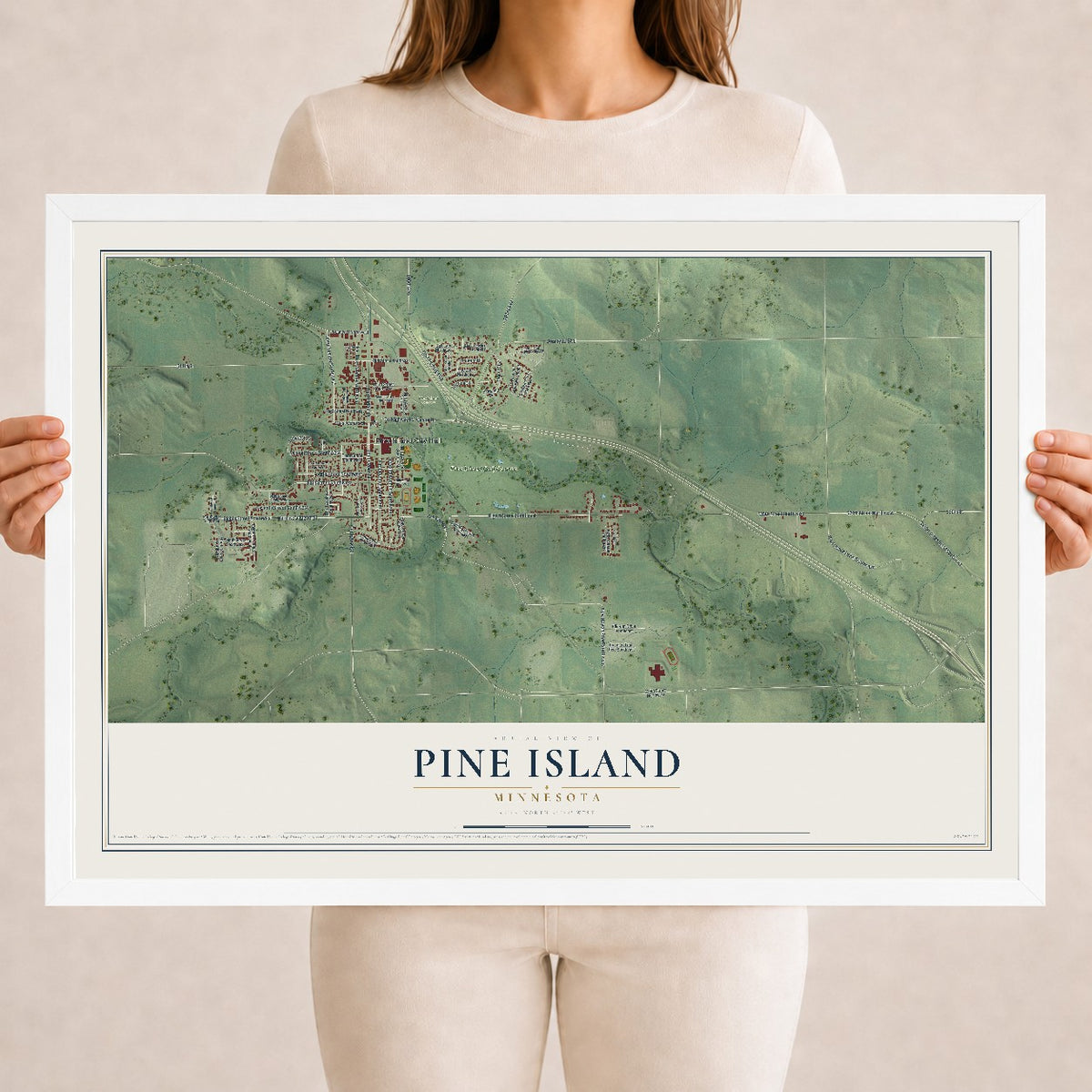 Map of Pine Island, Minnesota, 18 x 24 inch print in a white wood frame