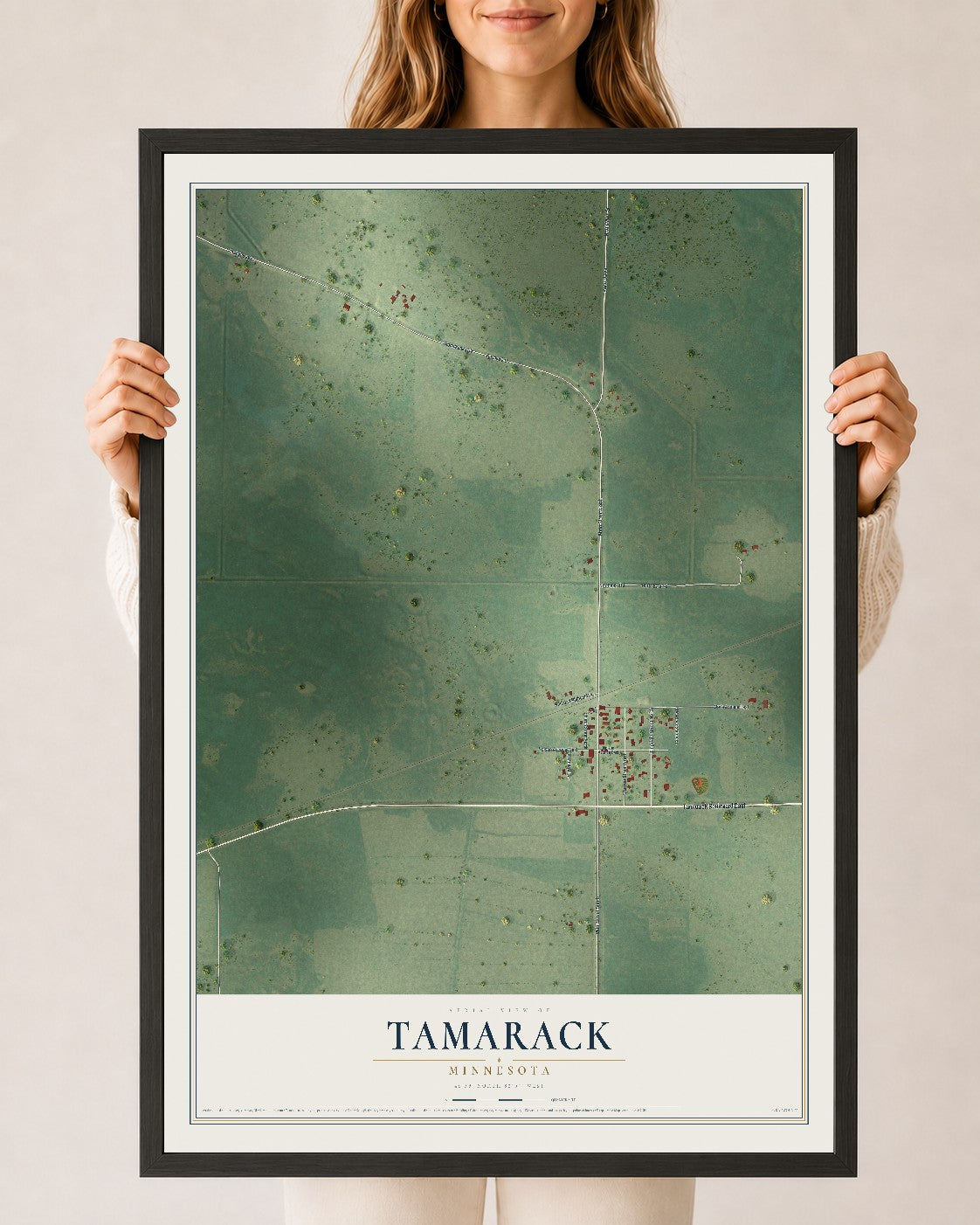 Map of Tamarack, Minnesota, 24 x 36 inch print in a black wood frame