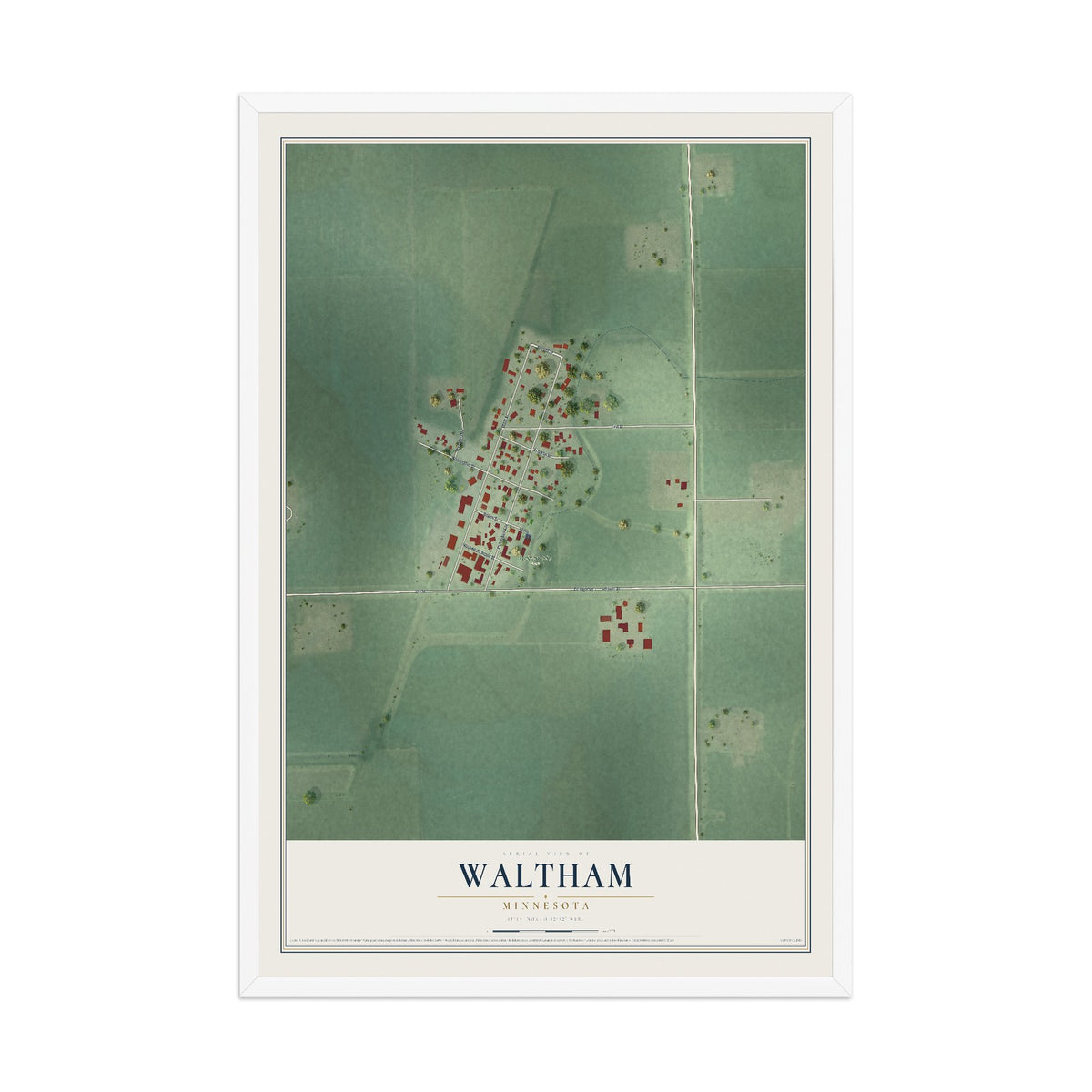 Map of Waltham, Minnesota, 12 x 18 inch print in a white wood frame