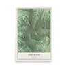 Map of Anderson, Missouri, 12 x 18 inch unframed archival matte print