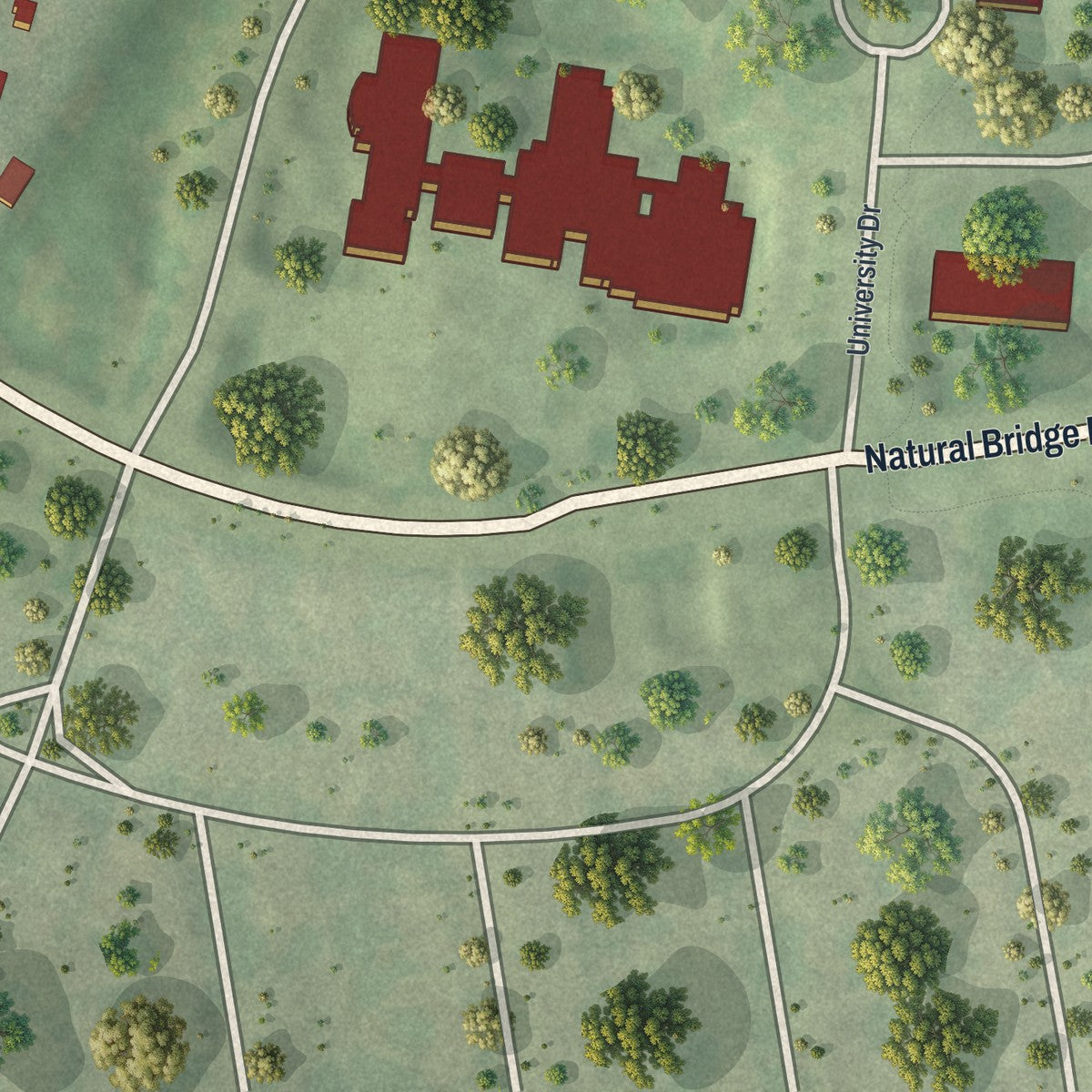 Close-up of the map of Bellerive Acres, Missouri print showing street and building detail