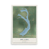 Map of Big Lake, Missouri, 12 x 18 inch unframed archival matte print