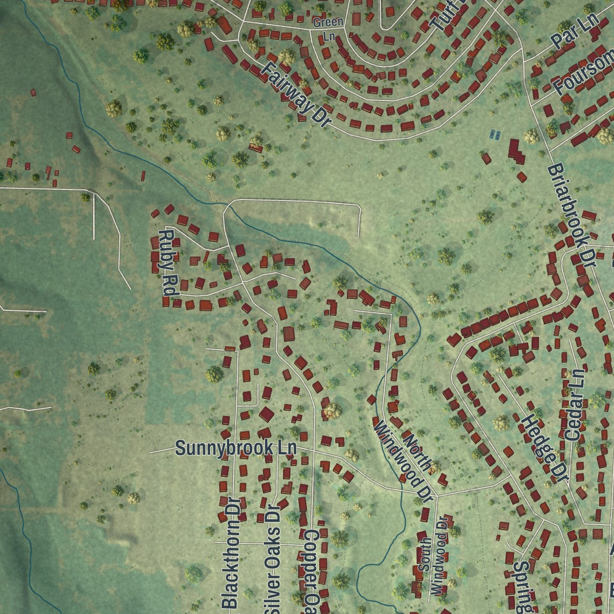Close-up of the map of Carl Junction, Missouri print showing street and building detail