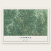 Chadwick, Missouri map print, the full design