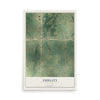 Map of Fidelity, Missouri, 12 x 18 inch unframed archival matte print