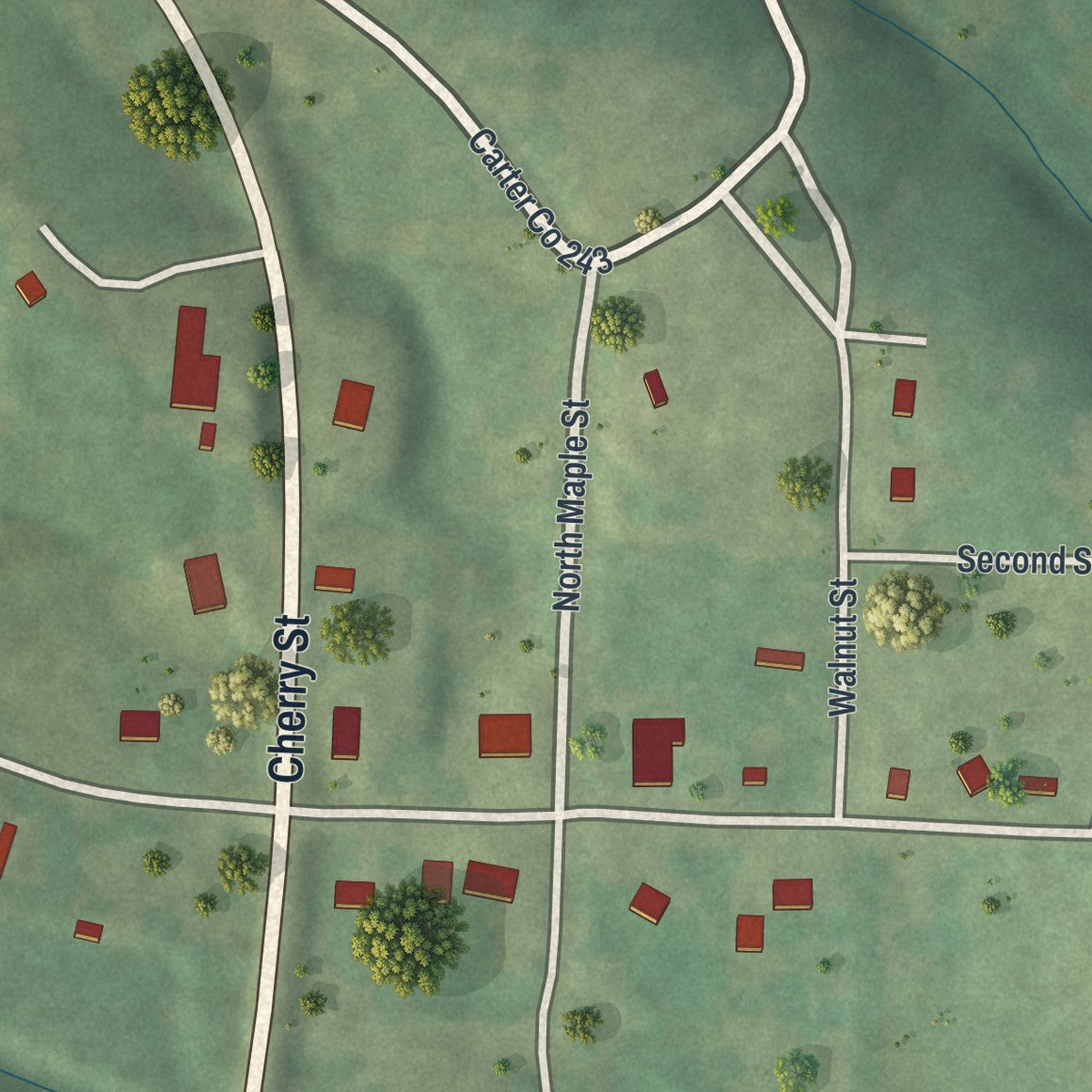 Close-up of the map of Grandin, Missouri print showing street and building detail