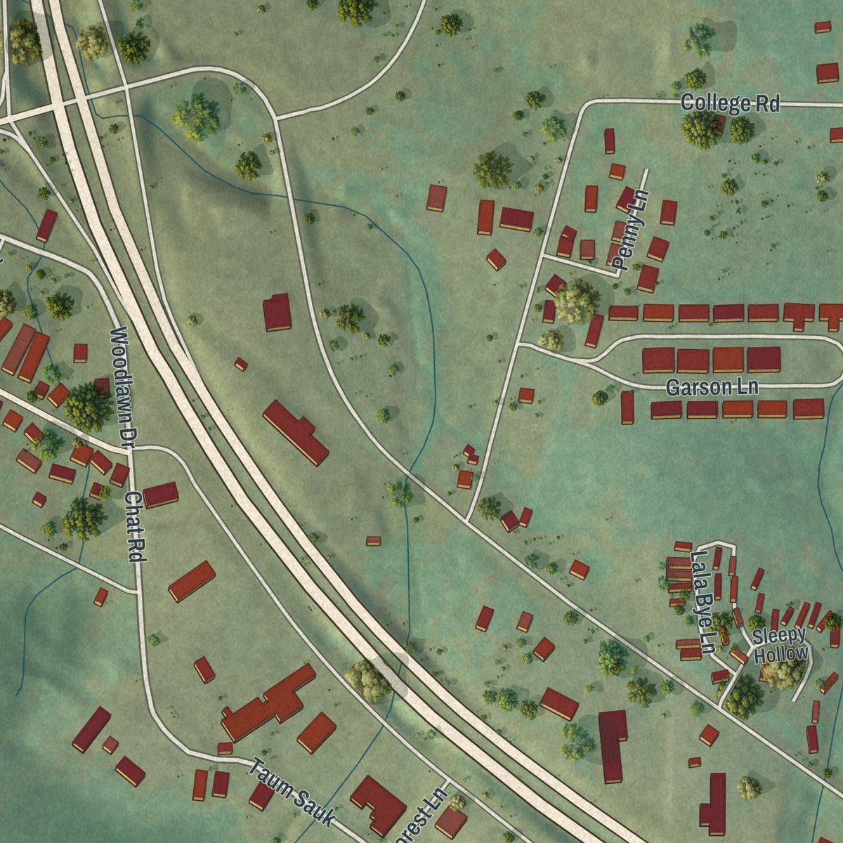 Close-up of the map of Leadington, Missouri print showing street and building detail