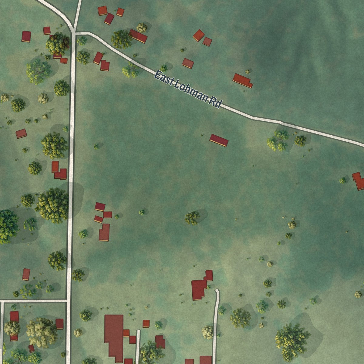 Second close-up of the map of Lohman, Missouri print showing more streets and buildings