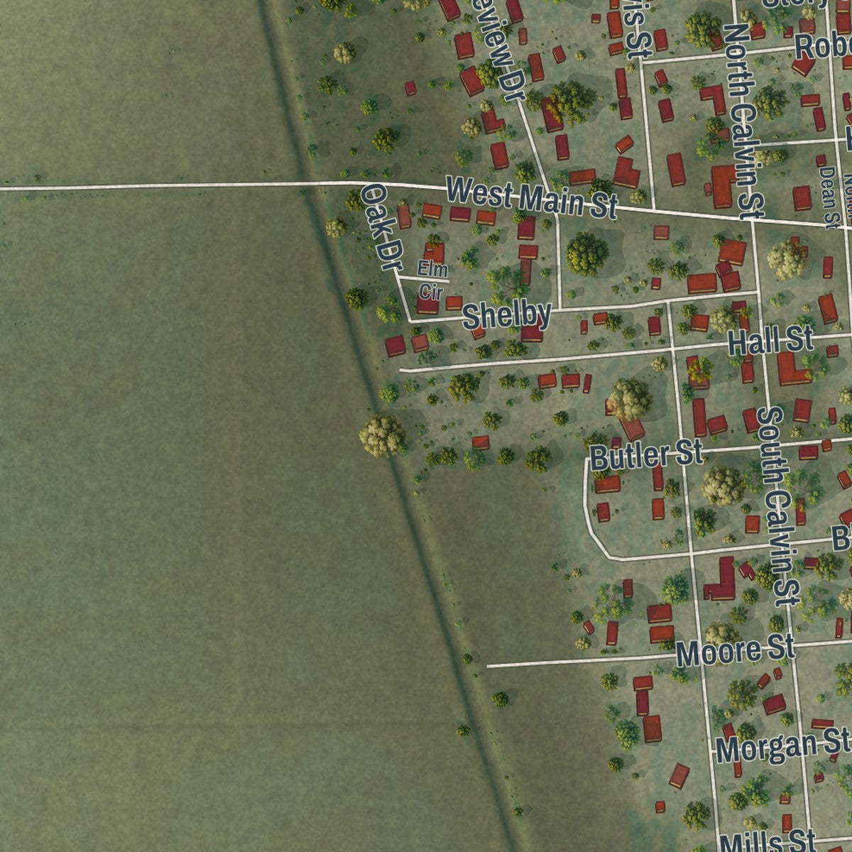 Close-up of the map of Matthews, Missouri print showing street and building detail