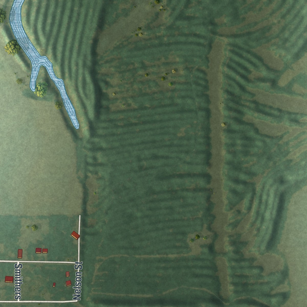 Second close-up of the map of Mindenmines, Missouri print showing more streets and buildings