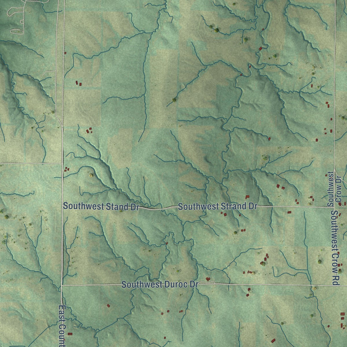 Close-up of the map of Mirabile, Missouri print showing street and building detail