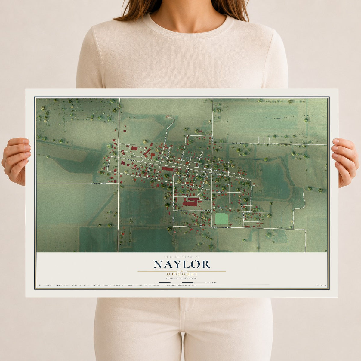 Map of Naylor, Missouri, 12 x 18 inch unframed archival matte print