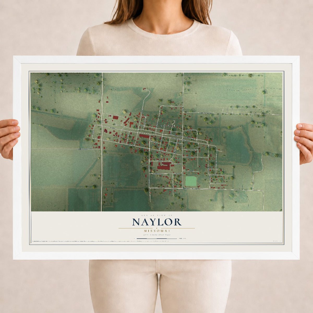 Map of Naylor, Missouri, 18 x 24 inch print in a white wood frame