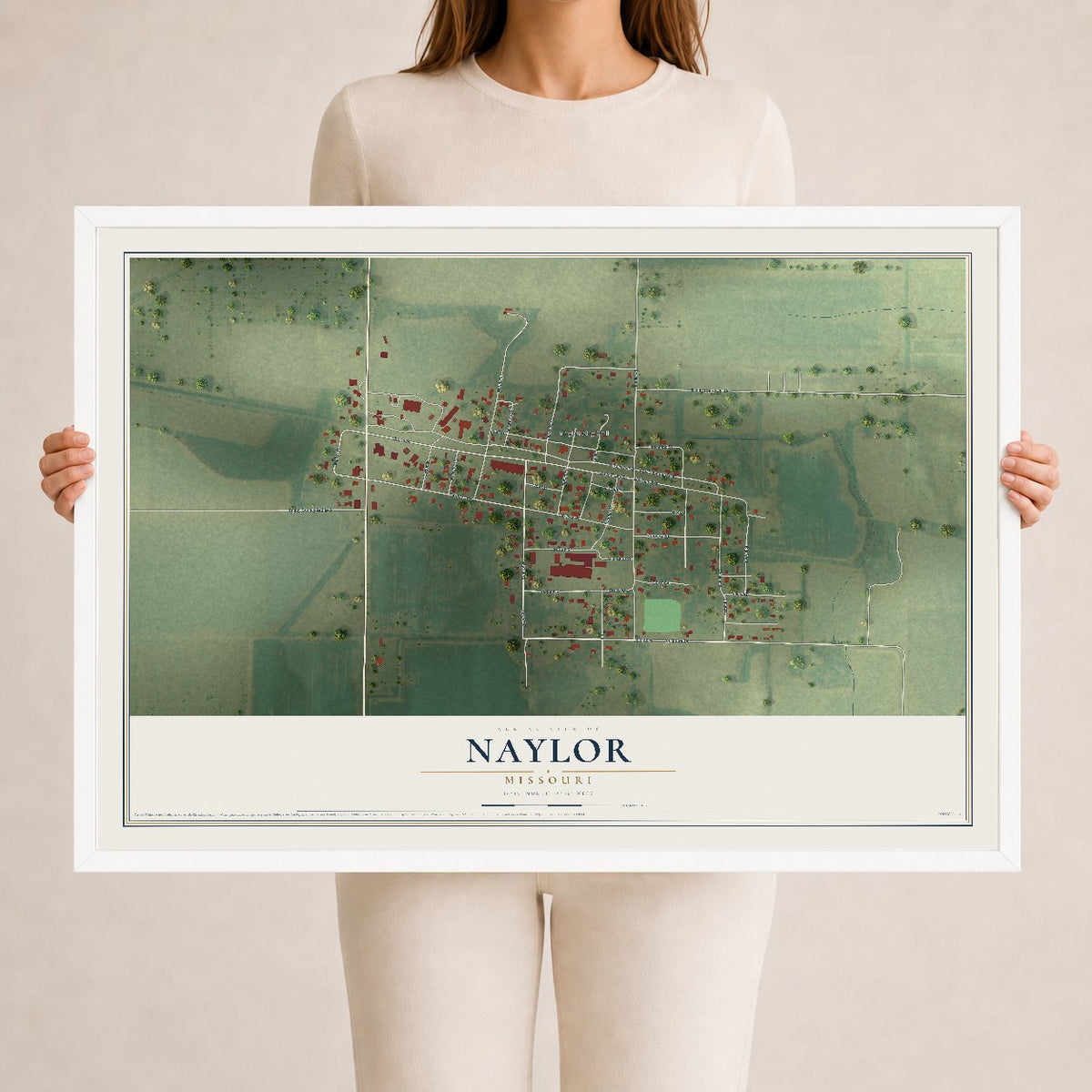 Map of Naylor, Missouri, 24 x 36 inch print in a white wood frame