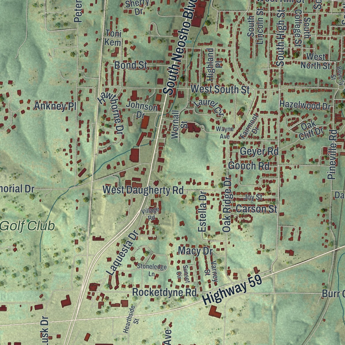 Close-up of the map of Neosho, Missouri print showing street and building detail