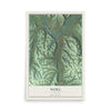 Map of Noel, Missouri, 12 x 18 inch unframed archival matte print