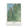 Map of Osceola, Missouri, 12 x 18 inch unframed archival matte print