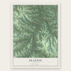 Plattin, Missouri map print, the full design