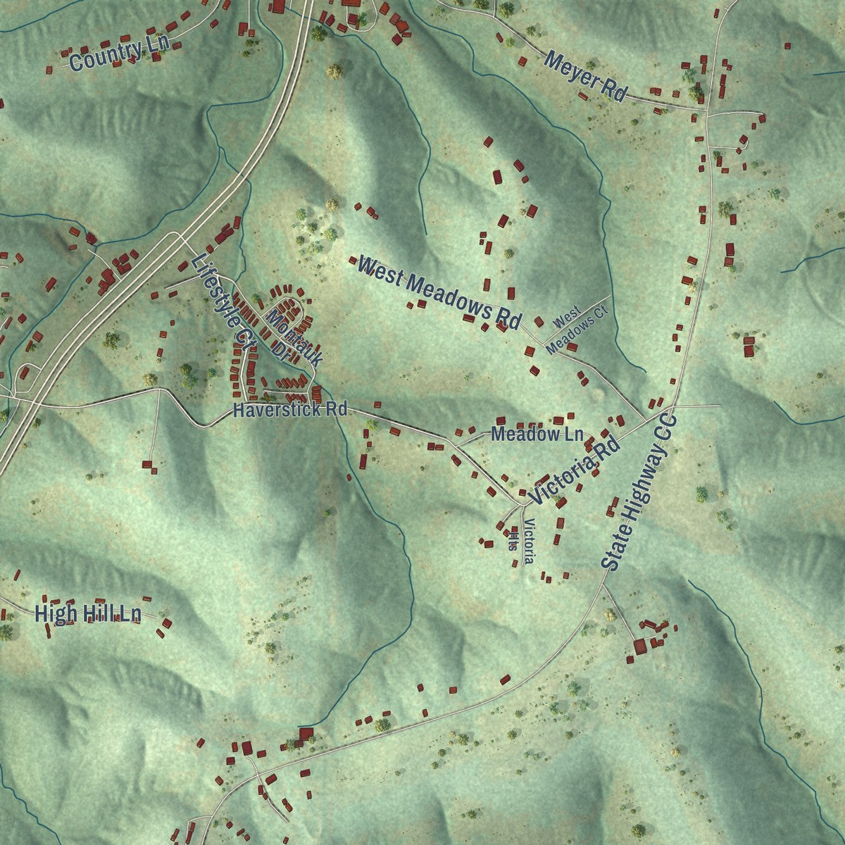 Close-up of the map of Plattin, Missouri print showing street and building detail