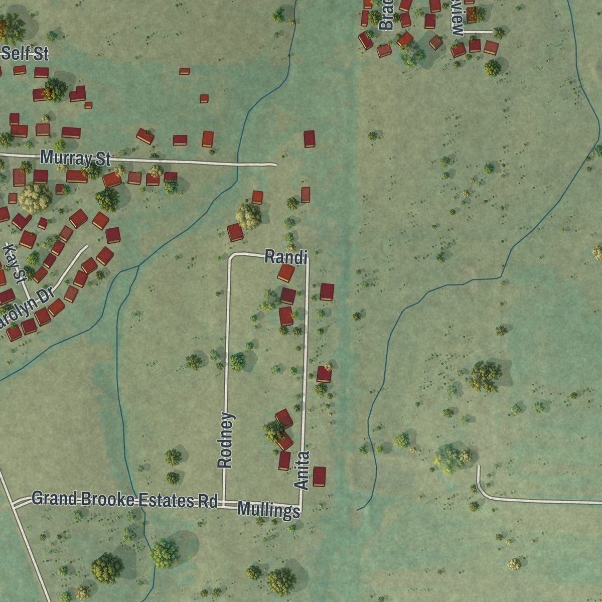 Second close-up of the map of Pleasant Hope, Missouri print showing more streets and buildings
