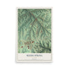 Map of Reeds Spring, Missouri, 12 x 18 inch unframed archival matte print