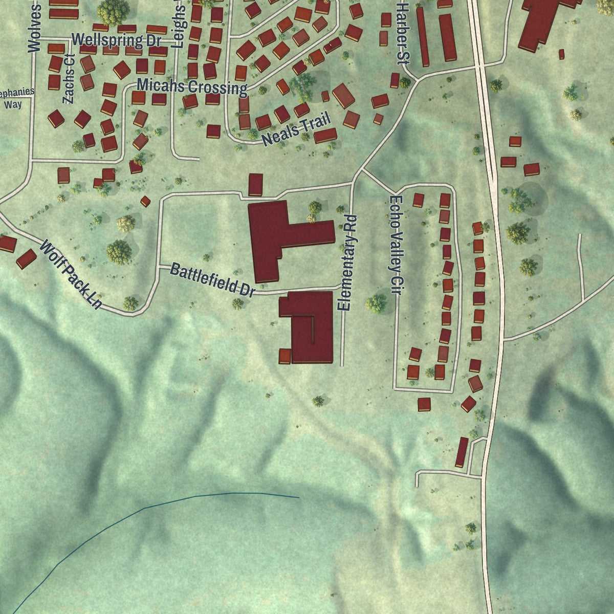 Close-up of the map of Reeds Spring, Missouri print showing street and building detail