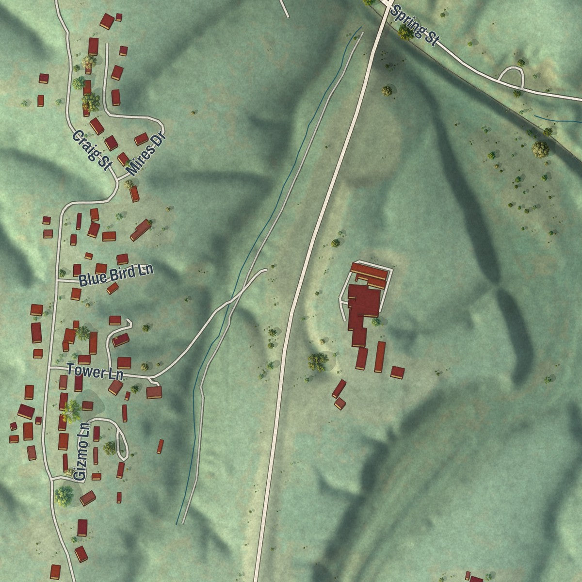 Second close-up of the map of Reeds Spring, Missouri print showing more streets and buildings