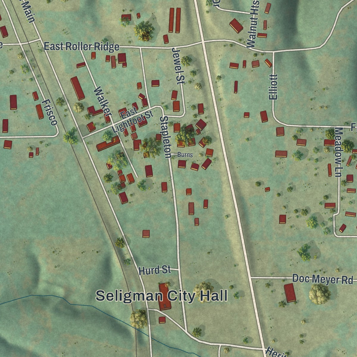 Close-up of the map of Seligman, Missouri print showing street and building detail