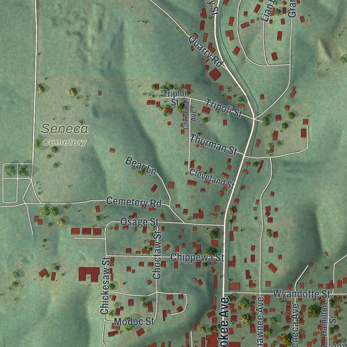 Second close-up of the map of Seneca, Missouri print showing more streets and buildings