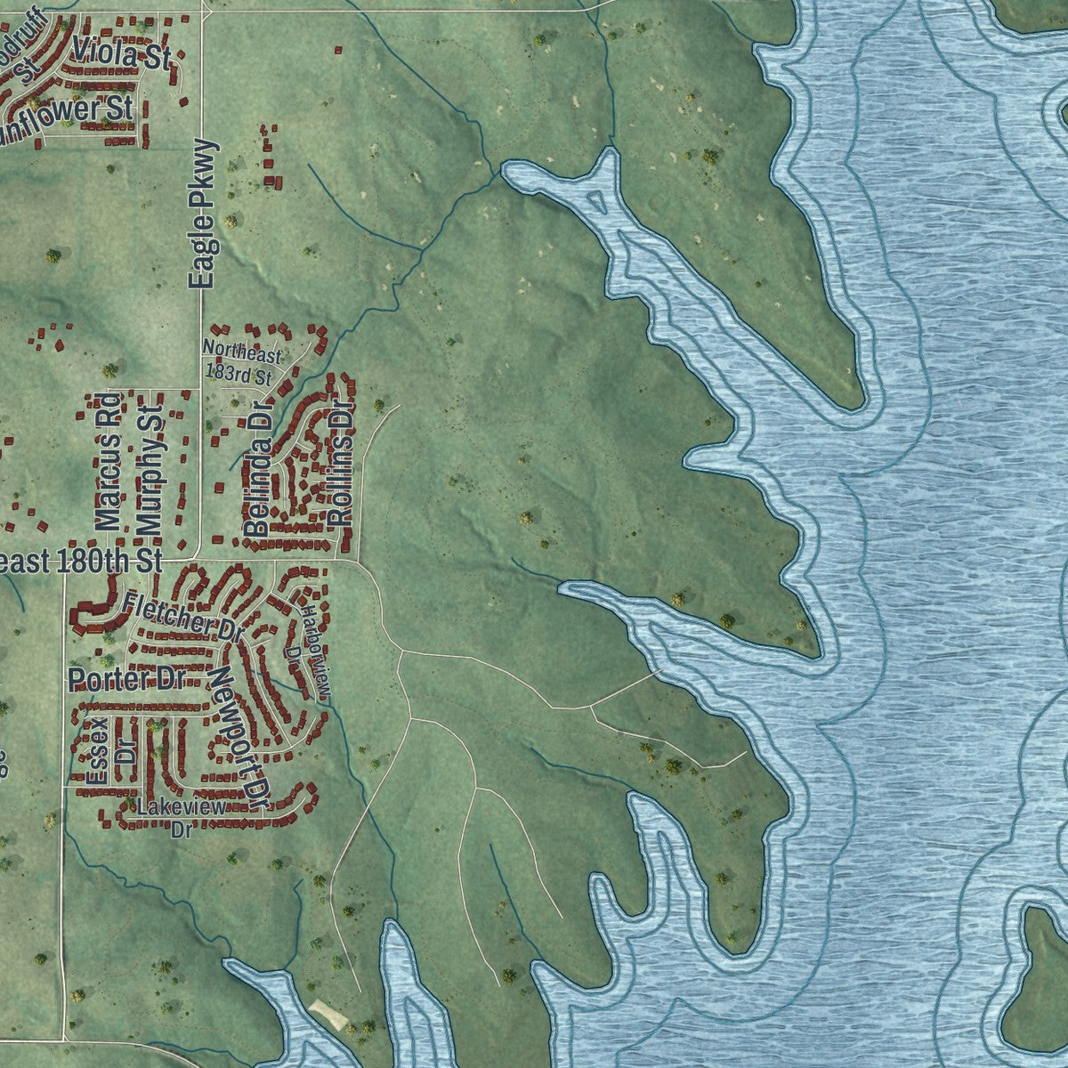 Close-up of the map of Smithville, Missouri print showing street and building detail