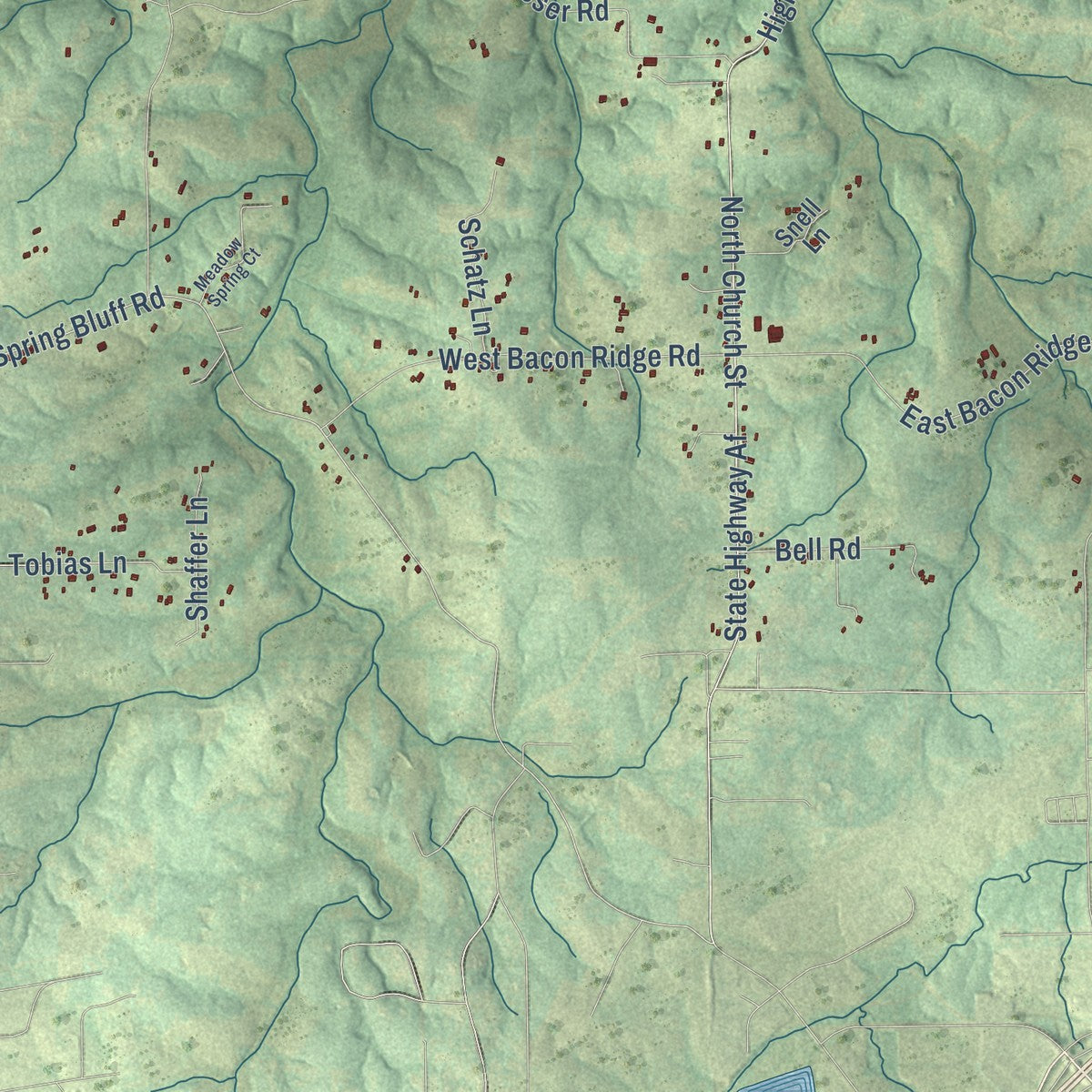Close-up of the map of Spring Bluff, Missouri print showing street and building detail