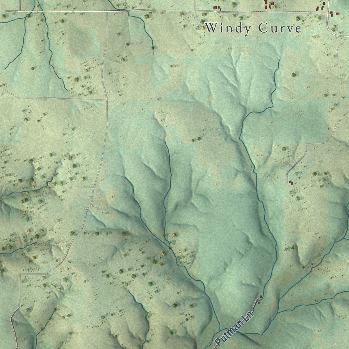 Close-up of the map of Success, Missouri print showing street and building detail