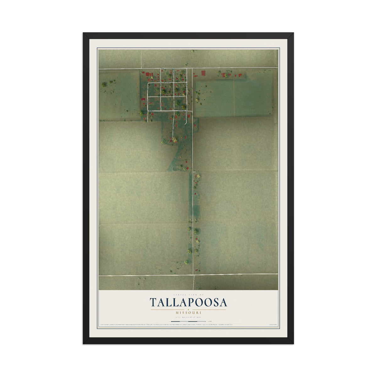 Map of Tallapoosa, Missouri, 12 x 18 inch print in a black wood frame