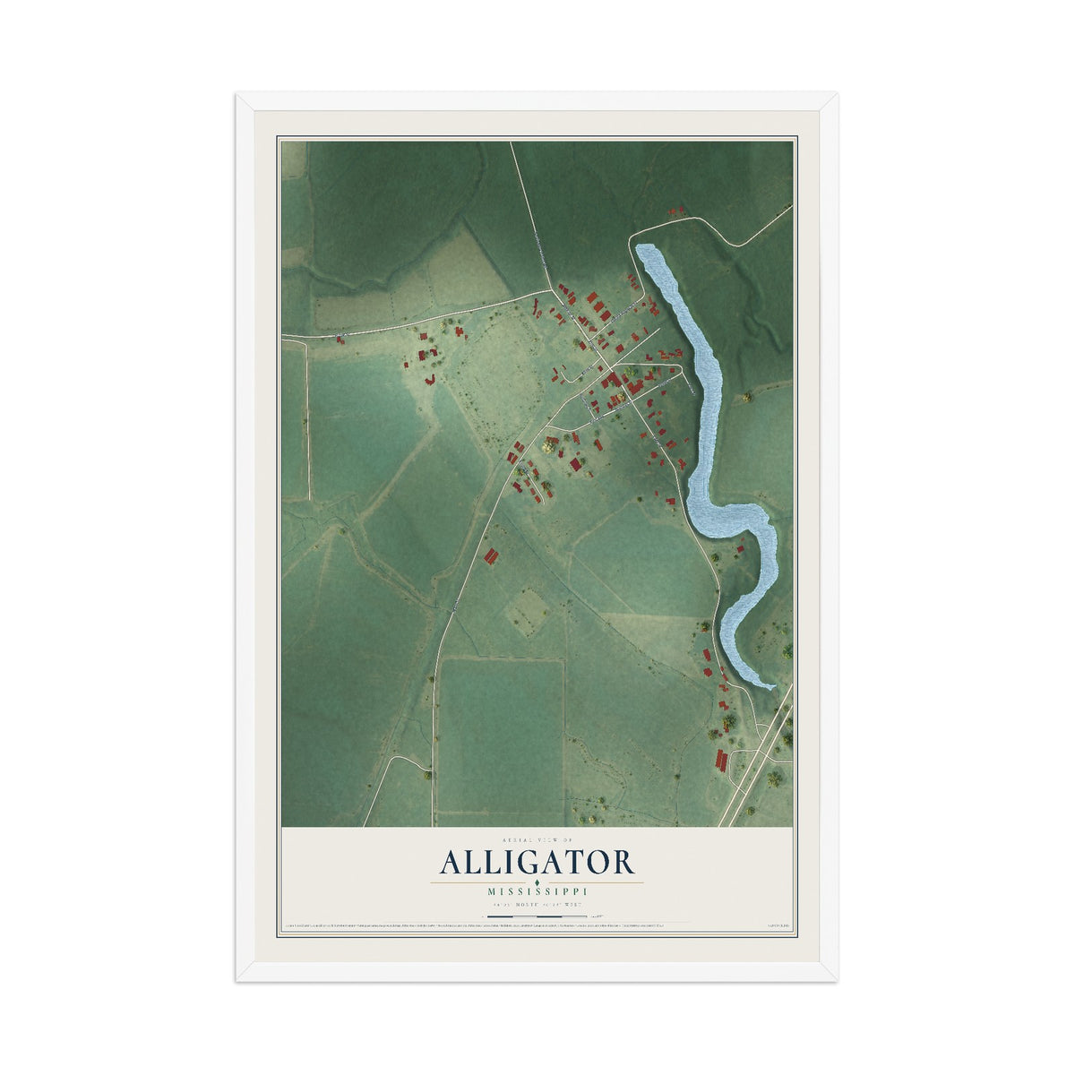 Map of Alligator, Mississippi, 12 x 18 inch print in a white wood frame