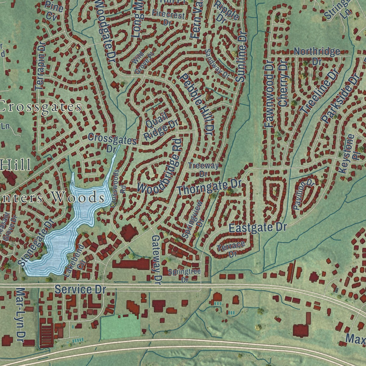 Close-up of the map of Brandon, Mississippi print showing street and building detail