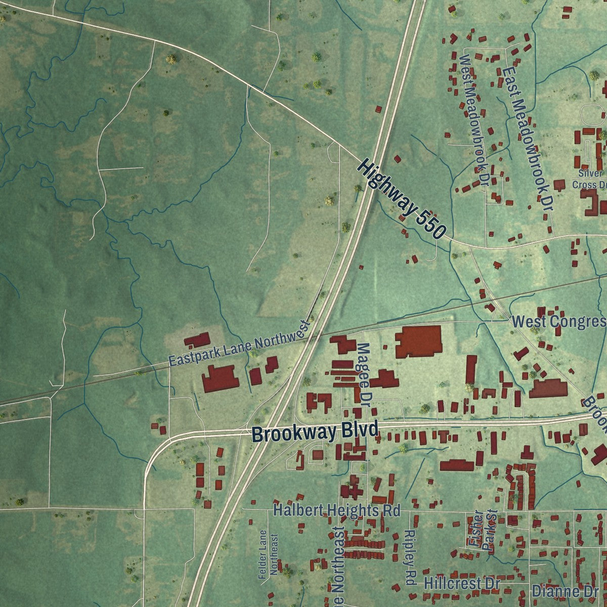 Second close-up of the map of Brookhaven, Mississippi print showing more streets and buildings