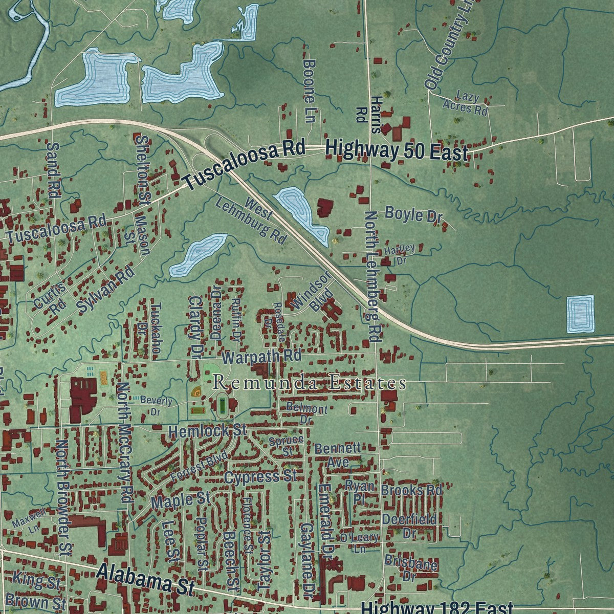 Second close-up of the map of Columbus, Mississippi print showing more streets and buildings