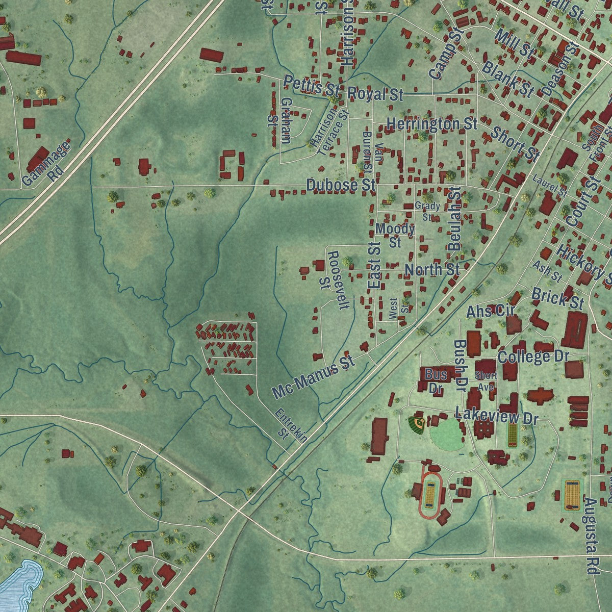 Close-up of the map of Ellisville, Mississippi print showing street and building detail