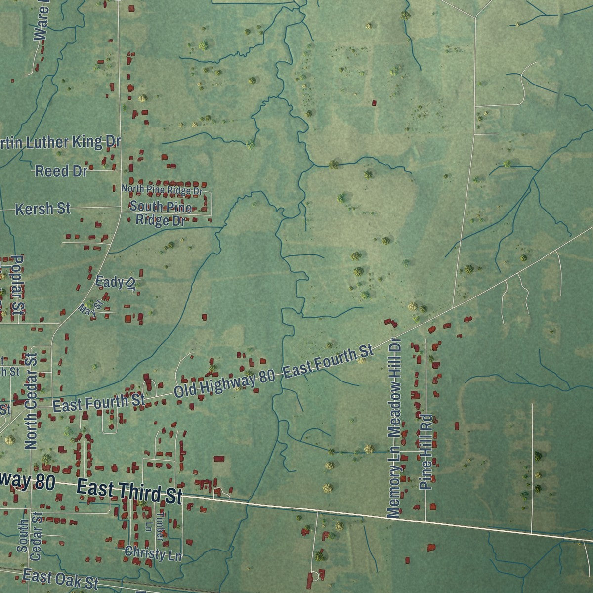 Second close-up of the map of Forest, Mississippi print showing more streets and buildings