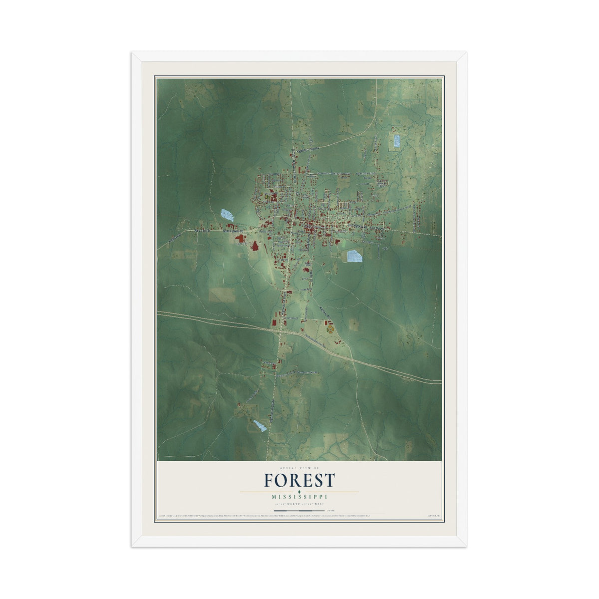 Map of Forest, Mississippi, 12 x 18 inch print in a white wood frame