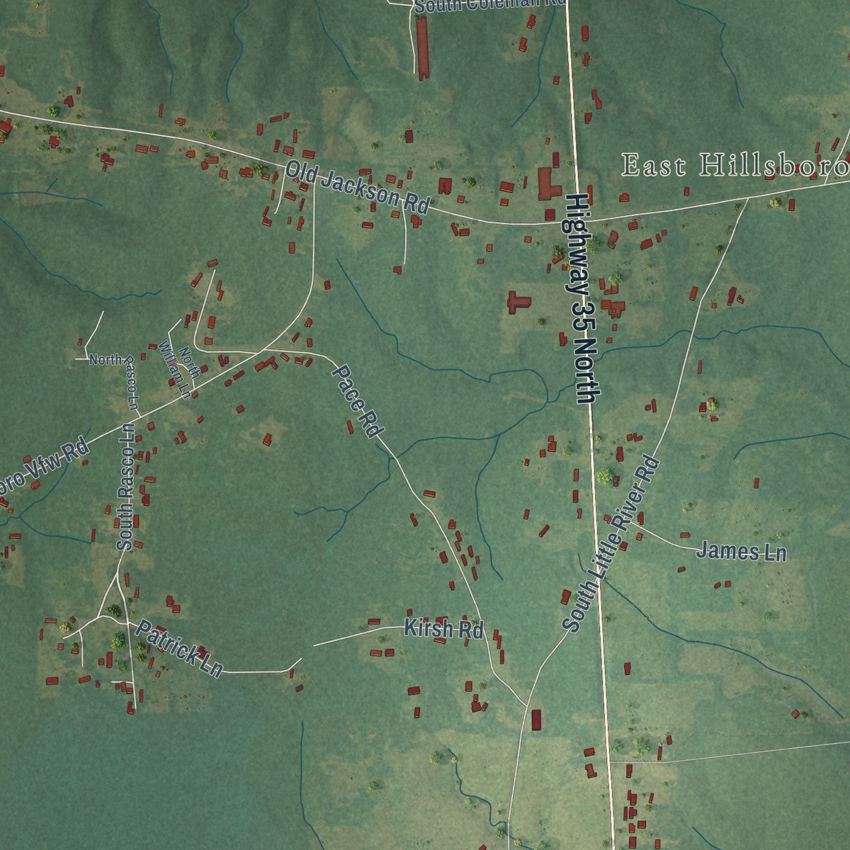 Close-up of the map of Hillsboro, Mississippi print showing street and building detail