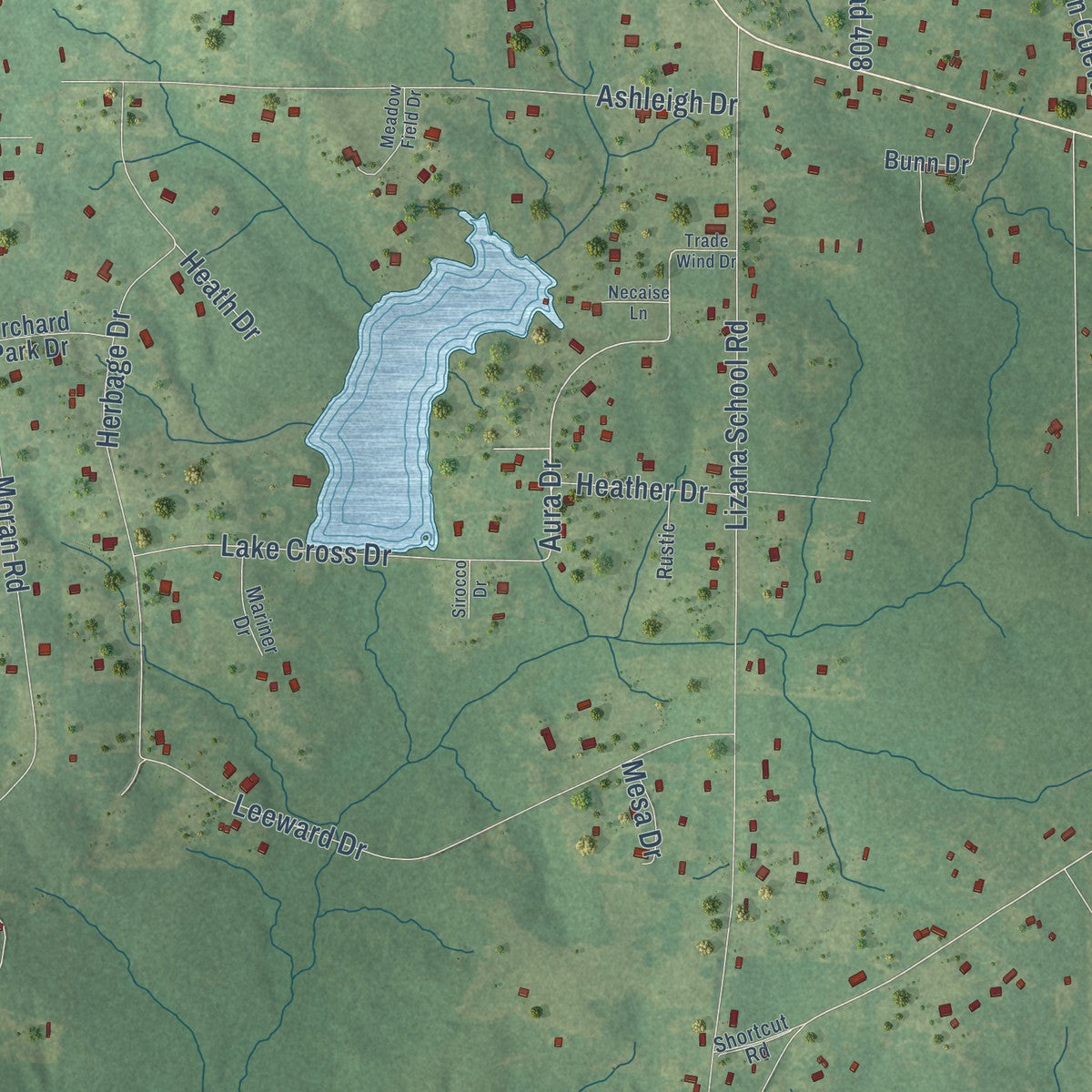 Close-up of the map of Lizana, Mississippi print showing street and building detail