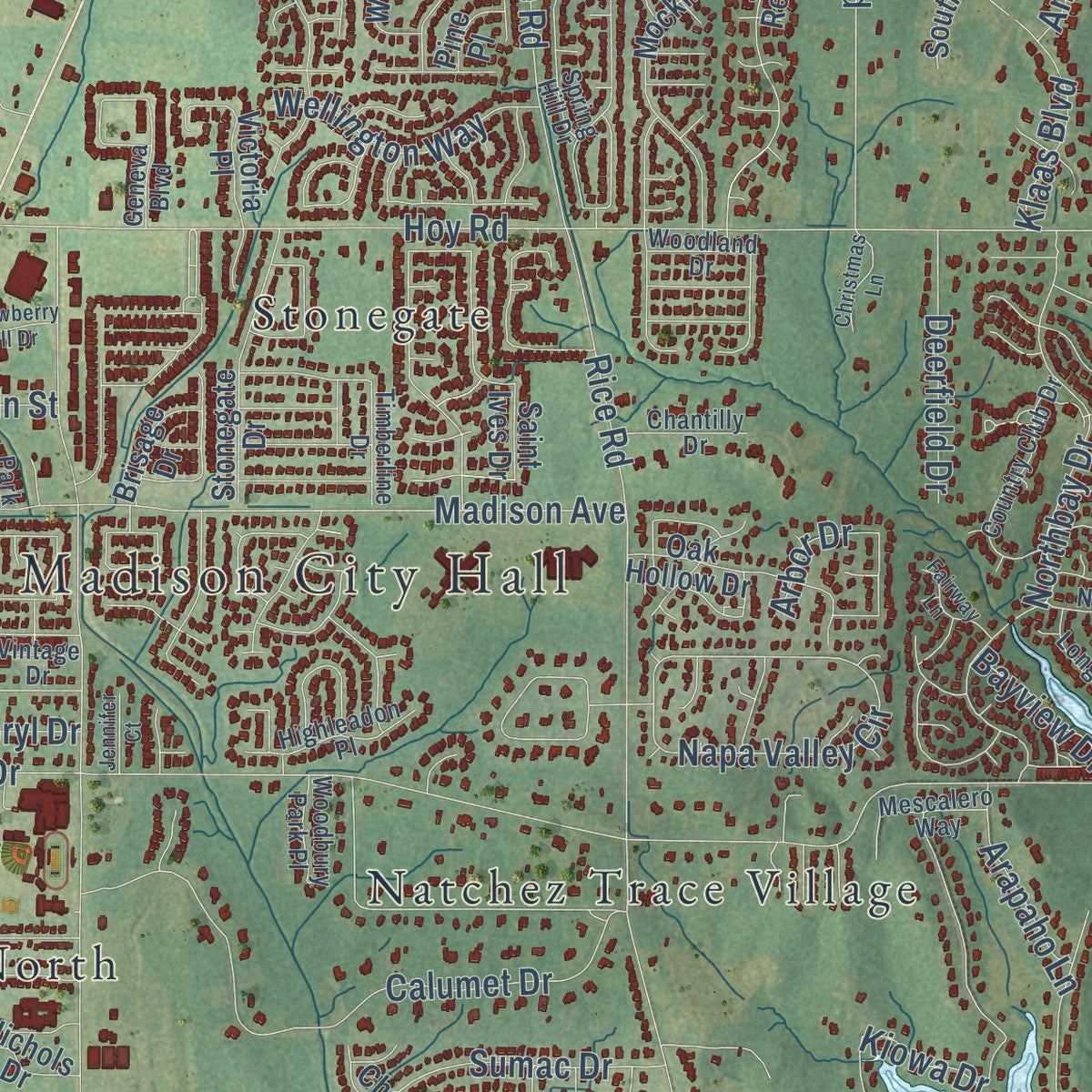 Close-up of the map of Madison, Mississippi print showing street and building detail