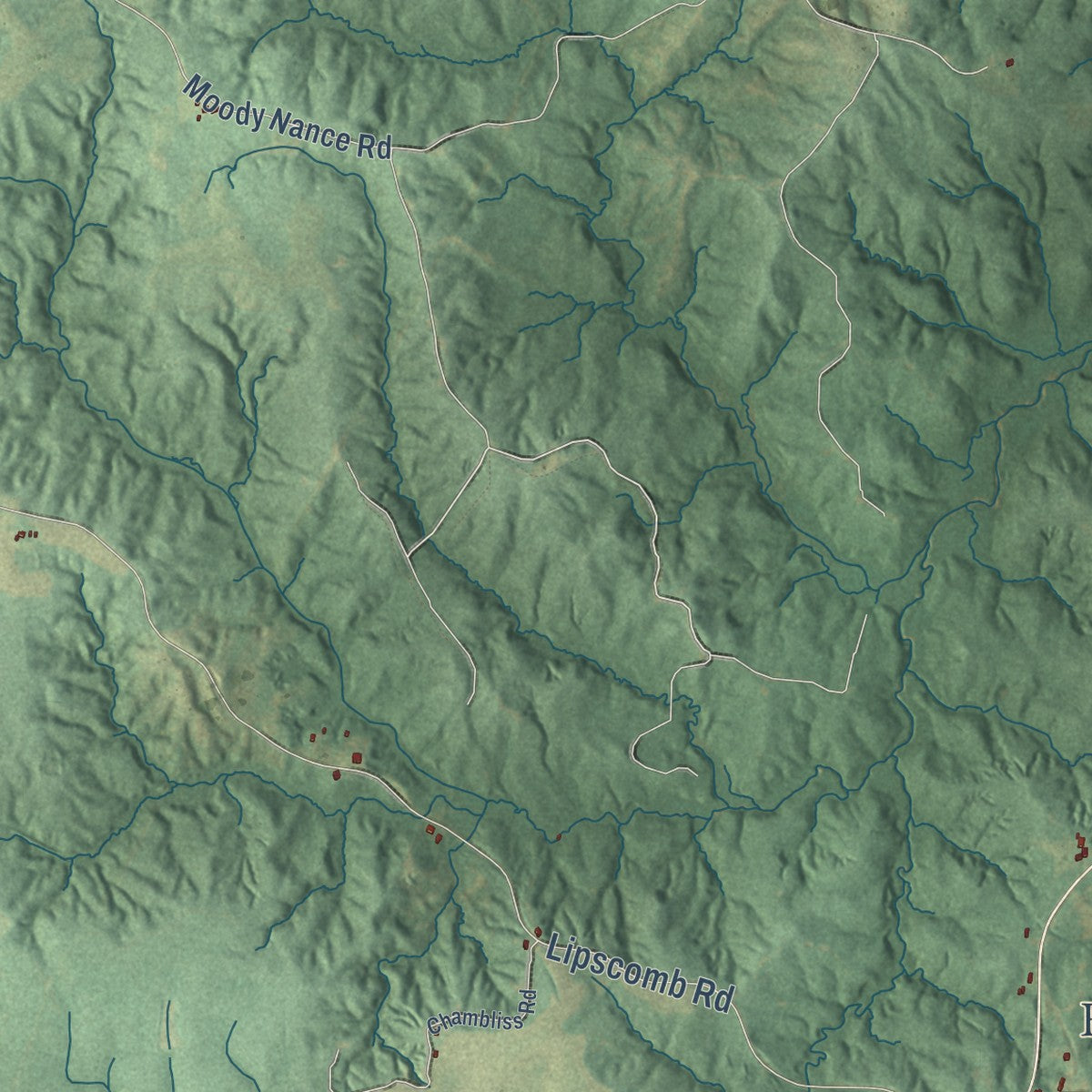 Close-up of the map of Nanih Waiya, Mississippi print showing street and building detail