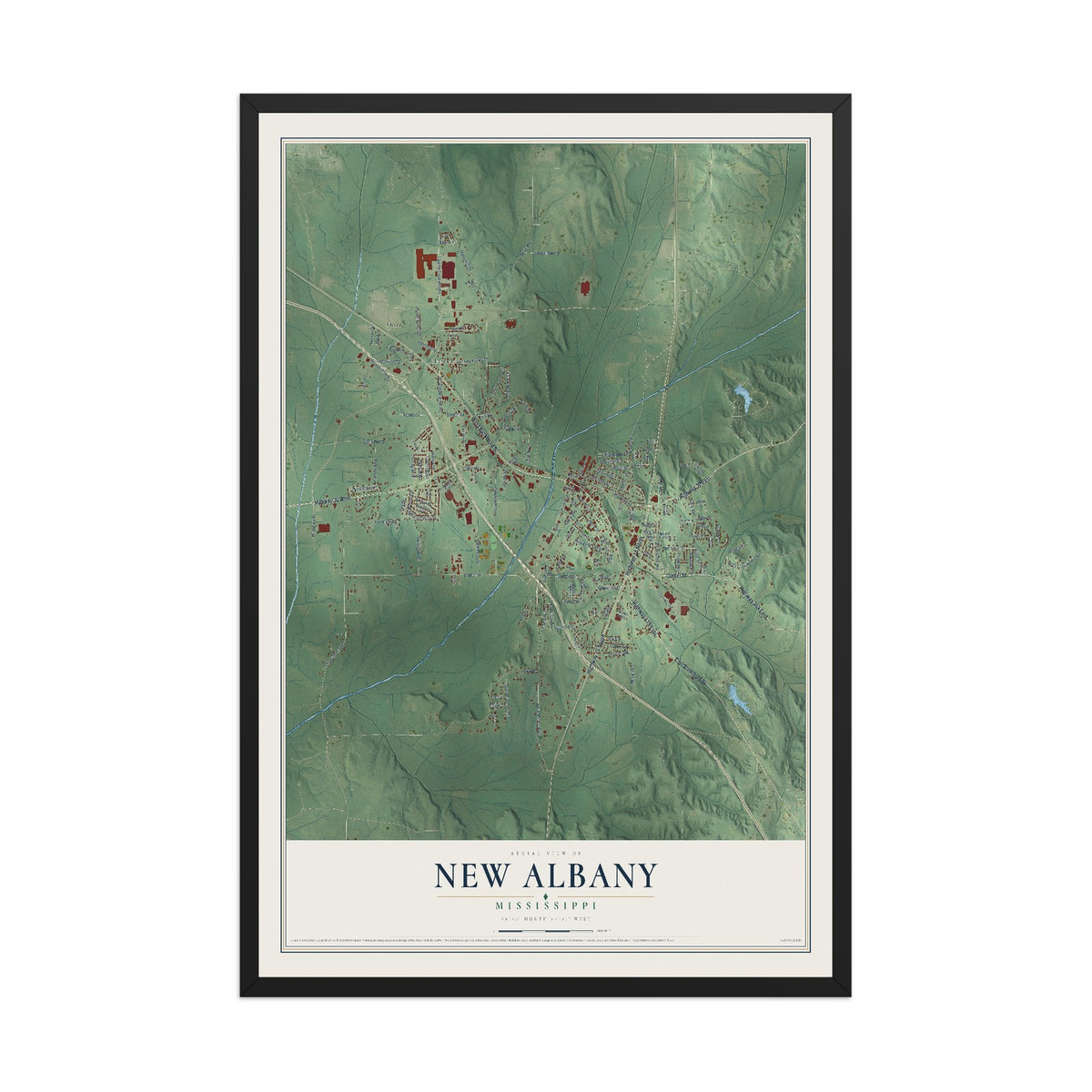 Map of New Albany, Mississippi, 12 x 18 inch print in a black wood frame