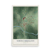 Map of North Carrollton, Mississippi, 12 x 18 inch unframed archival matte print