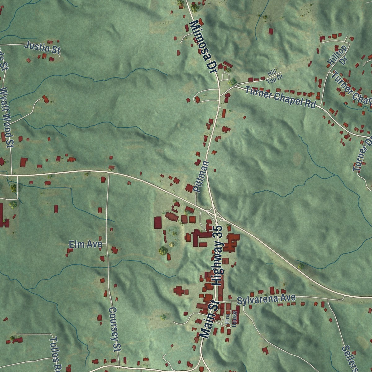 Close-up of the map of Raleigh, Mississippi print showing street and building detail