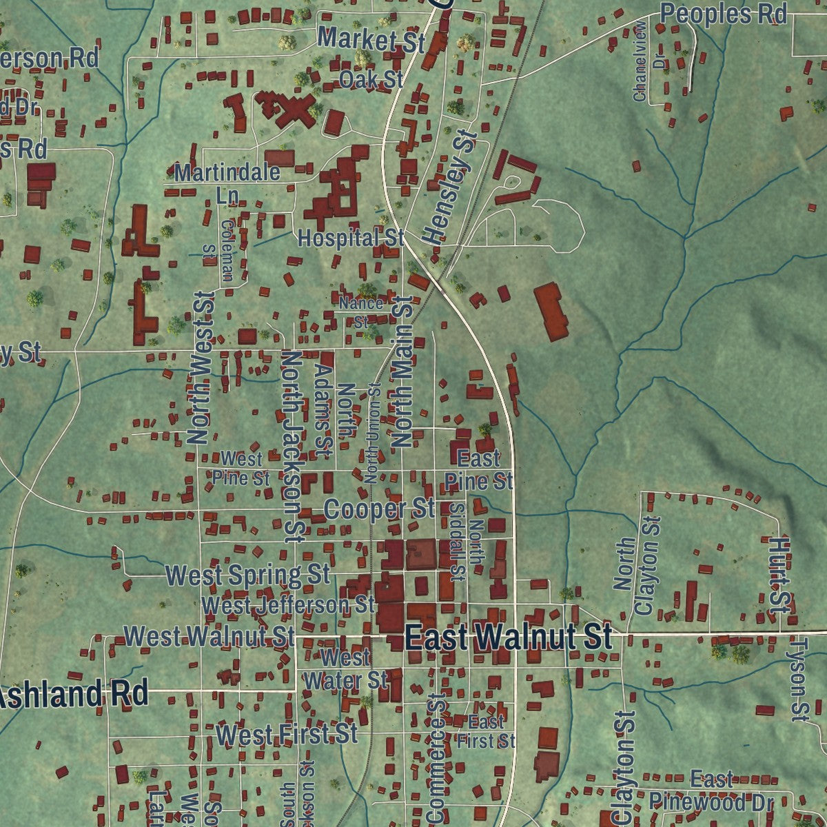 Close-up of the map of Ripley, Mississippi print showing street and building detail
