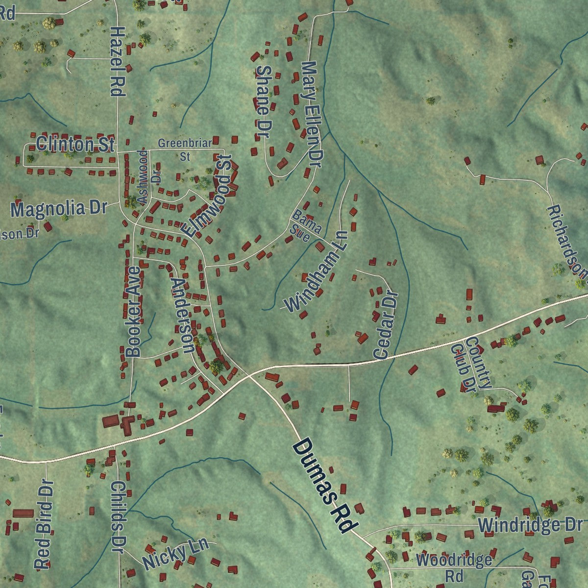 Second close-up of the map of Ripley, Mississippi print showing more streets and buildings