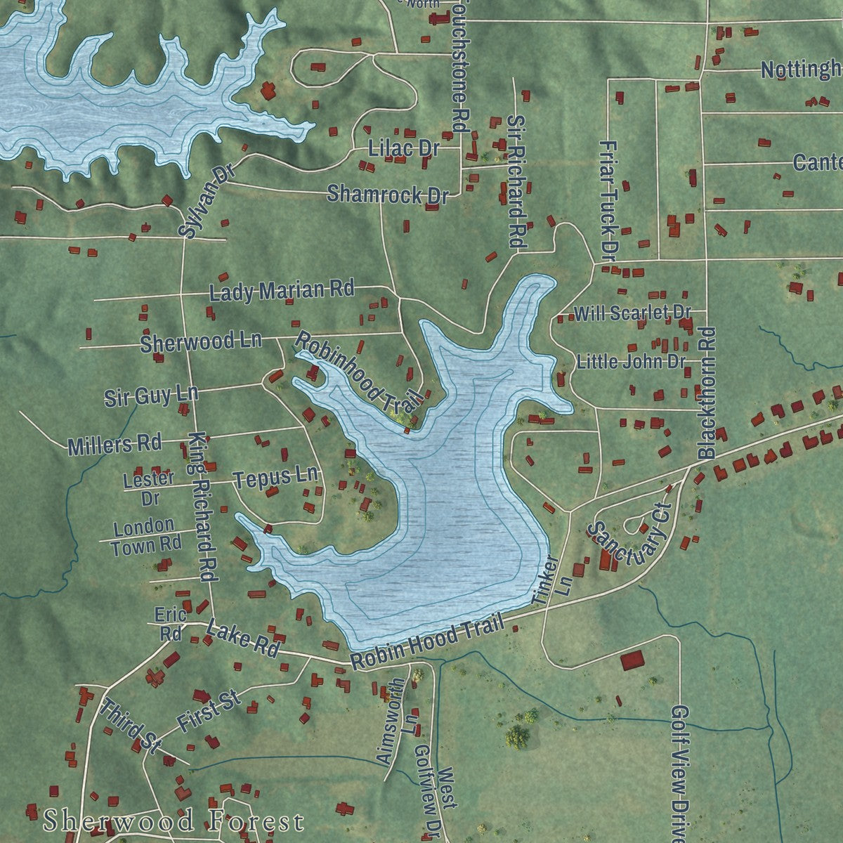Close-up of the map of Robinhood, Mississippi print showing street and building detail